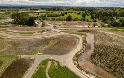 Te Kuru Walking Tracks